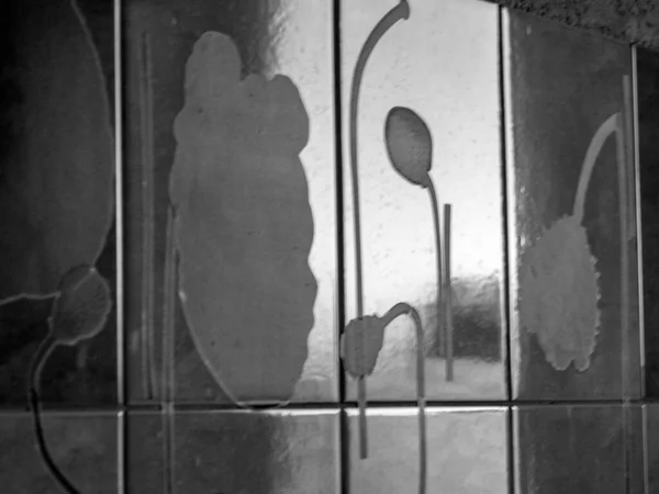 Photo Abstraite Noir Blanc Avec Des Ombres Fleurs Sur Mur — Photo