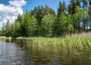 Nehrin üzerinde beyaz kümülüs bulutları, suda yansımaları olan güzel bir yaz manzarası.