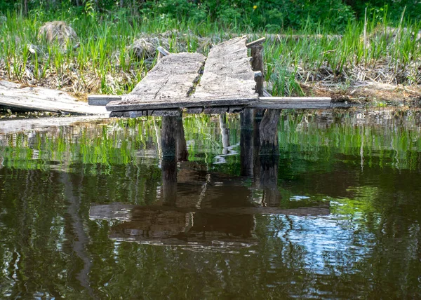 Καλοκαιρινό Τοπίο Μια Παλιά Ξύλινη Πεζογέφυρα Μια Μικρή Δασική Λίμνη — Φωτογραφία Αρχείου
