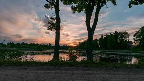 Letní Obraz Krásným Barevným Západem Slunce Nad Jezerem Popředí Obrysů — Stock fotografie