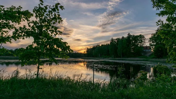 Summer Image Beautiful Colorful Sunset Lake Foreground Contours Trees Grass — Stock Photo, Image