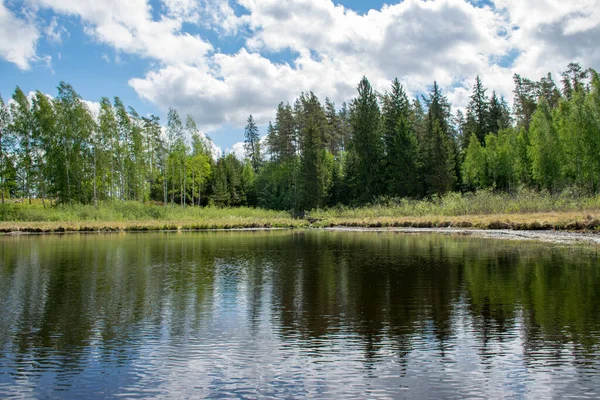 湖の美しい夏の風景と水の中の白い雲の反射 湖の水の中の木のシルエットの反射 — ストック写真