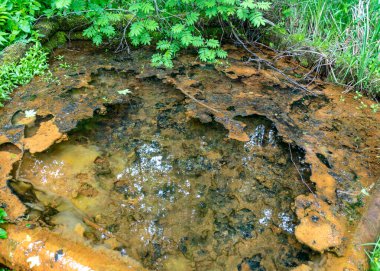 Bahar suyu toplamak için ahşap bir yapısı olan yaz manzarası. Ağaç kaynak suyundaki yüksek demir içeriğinden dolayı sarıya boyanmıştır.