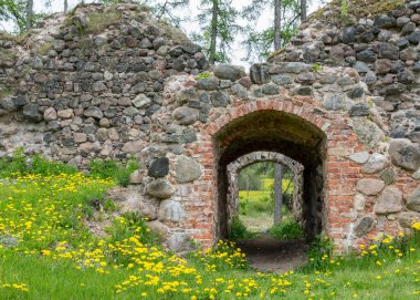 Eski taş kale kalıntıları, ön planda renkli bahar çiçekleri olan bir manzara.
