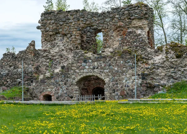 Krajobraz Starymi Kamiennymi Ruinami Zamku Kolorowe Wiosenne Kwiaty Pierwszym Planie — Zdjęcie stockowe