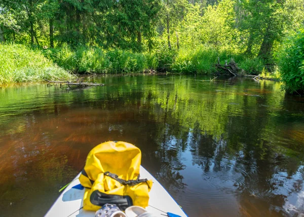 Vue Depuis Panneau Padlle Debout Sur Rive Une Petite Rivière — Photo