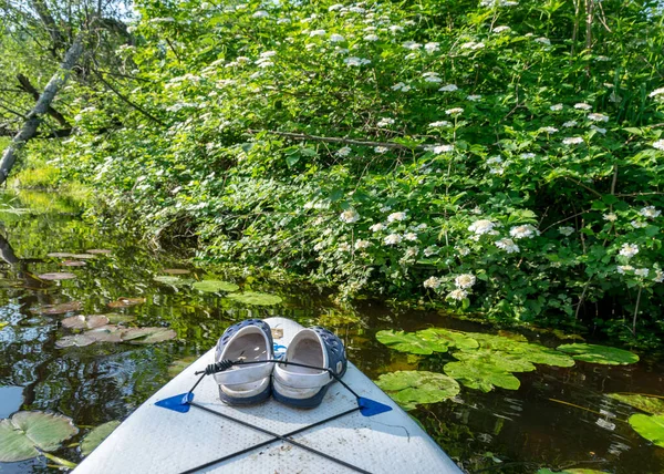 Vue Planche Padlle Debout Sur Rivage Une Petite Rivière Sauvage — Photo