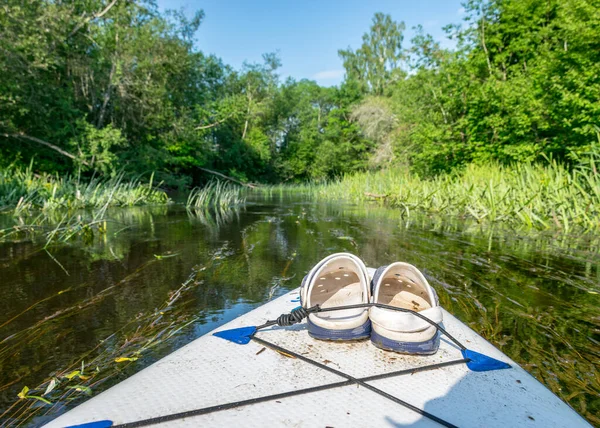 从小河岸边的木板上站起来看 从绿色的野生河流上看 从河水中反映 从夏天看 — 图库照片