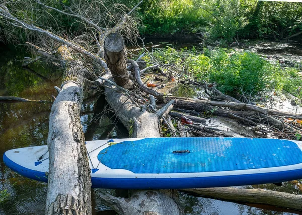 삼림의 쓰러진 나무들 강에서 장애물을 극복하는 — 스톡 사진
