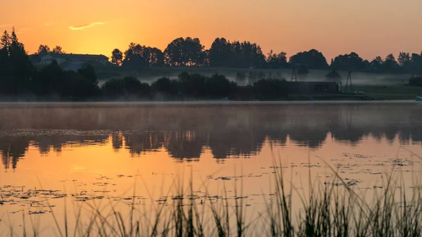 early morning landscape with lake, green grass in the foreground, sunrise on the lake, summer