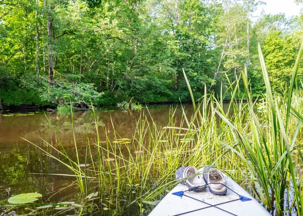 Vue Planche Padlle Debout Sur Rivage Une Petite Rivière Sauvage — Photo