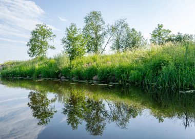 Küçük bir orman nehri olan yeşil yaz manzarası, alçak nehir sakinliği, vahşi nehir yansıması manzarası.