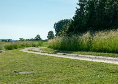 Deniz kıyısı boyunca basit kayalık bir yolu olan güneşli yaz manzarası