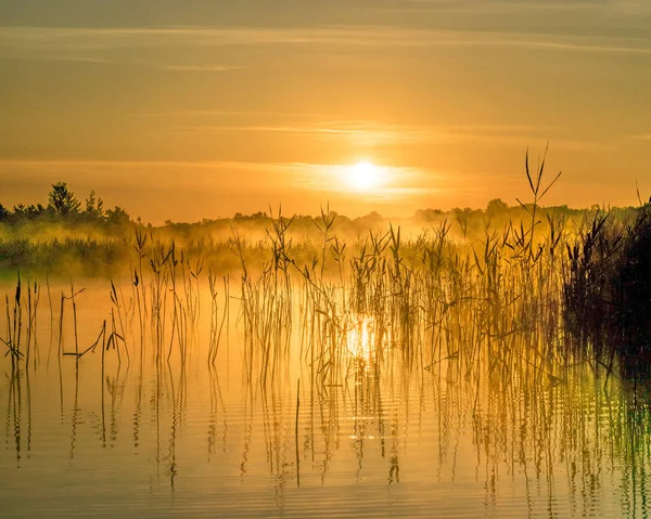 Gölde sabahın erken saatlerinde sisli bir hava. Güzel duvar kağıtları. Gölde gizemli bir sis, yaz gündoğumu, Suurlaht, Lahekla, Saaremaa County, Estonya