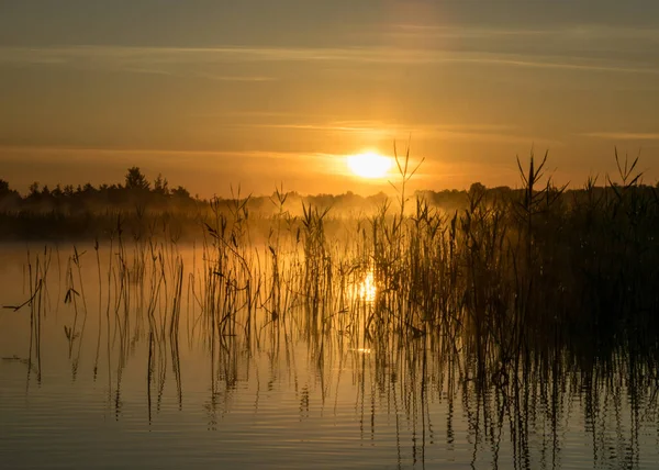 Météo Brumeuse Tôt Matin Sur Lac Beaux Fonds Écran Une — Photo