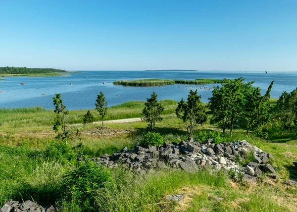 Koyun yaz manzarası, yeşil sazlıklar, bir sürü kaya, iyi kuş yuvaları, Saaremaa, Estonya