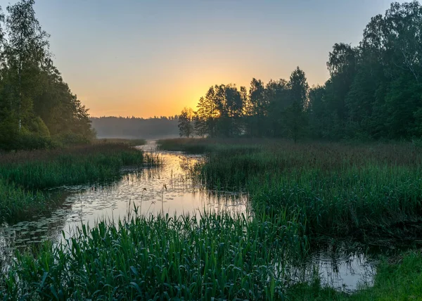 Tidigt Morgonen Landskap Med Sjö Grönt Gräs Förgrunden Soluppgång Sjön — Stockfoto