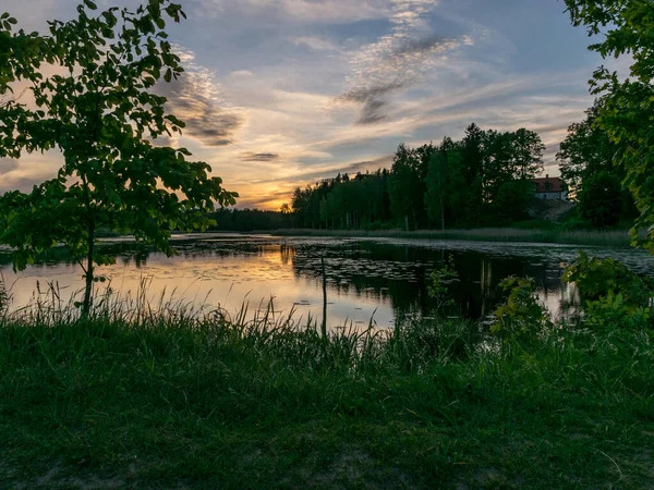 Summer Image Beautiful Colorful Sunset Lake Foreground Contours Trees Grass — Stock Photo, Image