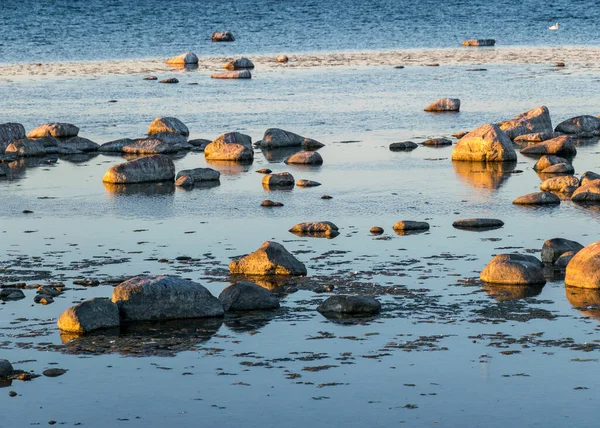 Bela Paisagem Pôr Sol Uma Praia Rochosa Tradicional Ilha Saaremaa — Fotografia de Stock