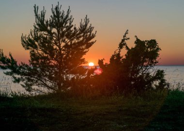 Güzel yaz günbatımı manzarası Baltık Denizi, Estonya