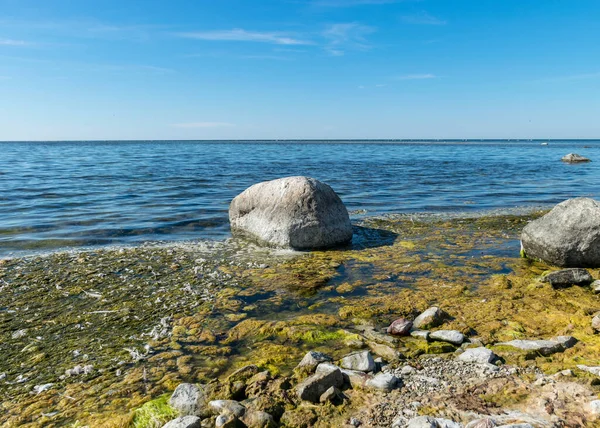 Schöner Sommertag Mit Traditioneller Küste Von Saaremaa Kurzem Grünen Gras — Stockfoto