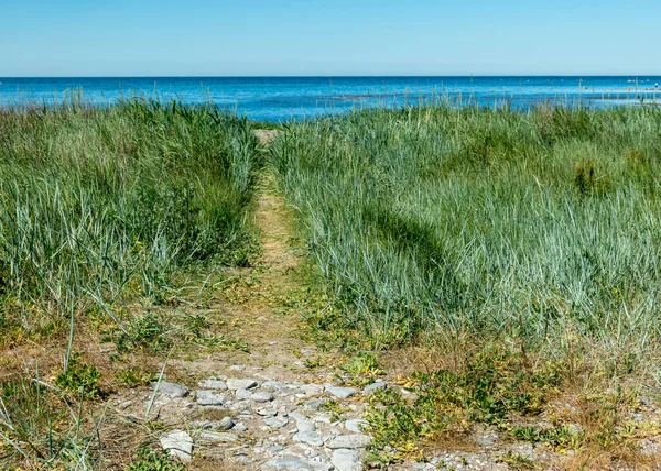 Ландшафт Традиційним Видом Узбережжя Острів Сааремаа Естонія — стокове фото