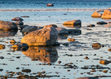 Saaremaa, Undva Burnu, Tagamoisa Yarımadası, Saaremaa Adası, Estonya 'daki geleneksel kayalık bir plajdan güzel bir gün batımı manzarası.