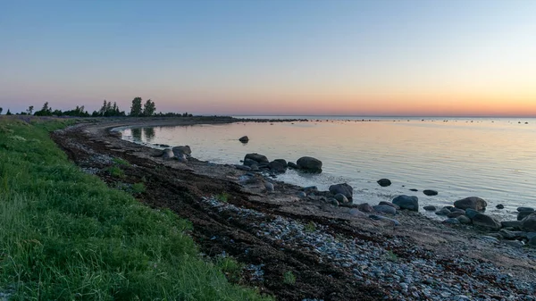 Beautiful Summer Sunset Landscape Sea Cabbage Crambe Maritima Which Grows — Stock Photo, Image