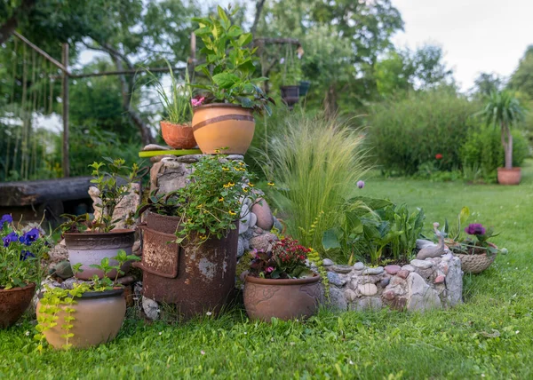 Beautiful Summer Picture Garden Decorative Plants Flower Pots Garden Decor — Stock Photo, Image