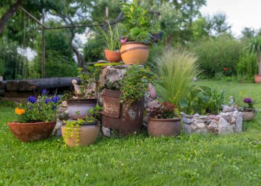 Bahçeden güzel bir yaz resmi, çiçek saksılarında dekoratif bitkiler, bahçe dekorasyonu, yaz bahçesi