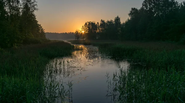 Tidigt Morgonen Landskap Med Sjö Grönt Gräs Förgrunden Soluppgång Sjön — Stockfoto