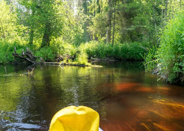 Widok Stojącego Padlle Board Brzegu Małej Dzikiej Rzeki Widok Zieloną — Zdjęcie stockowe