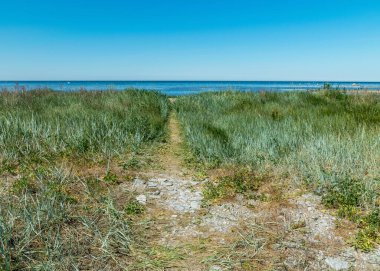 Geleneksel kıyı manzaralı manzara, Saaremaa Adası, Estonya