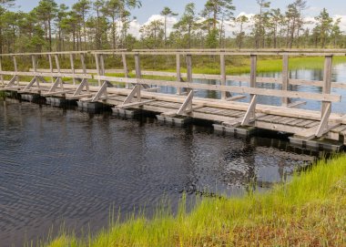 Bataklığın ortasında ahşap bir inşaat köprüsü olan manzara. Bataklıktaki güzel doğanın görüntüsü - bir gölet, kozalaklı ağaçlar, yosun, bulutlar ve suda yansımalar. Tipik Batı Estonya bataklığı, Nigula Doğa Koruma Alanı