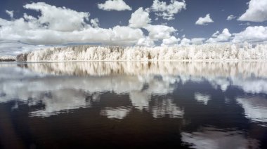 Kızılötesi gerçeküstü manzara, gökyüzü yansımalı göl, kızılötesi fotoğraf karlı ağaç inanılmaz doğa gölü yansıması.