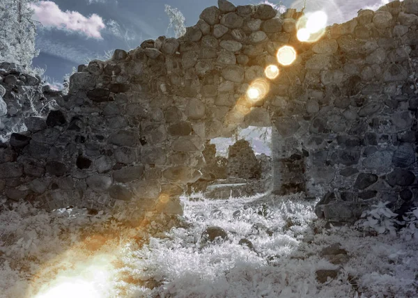 Unusual Surreal Landscape Trees Old Castle Ruins Photographed Infrared Filter — Stock Photo, Image