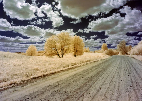 Paisagem Surreal Incomum Com Árvores Prados Nuvens Cúmulo Lindo Fotografado — Fotografia de Stock