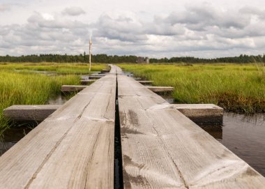 Küçük çam ağaçları olan bataklık sulak alanlarının üzerinde yaya ahşap bir yaya köprüsü olan manzara. Bataklık bitkileri ve göletler, tipik bir Batı Estonya bataklığı. Nigula Doğa Koruma Alanı