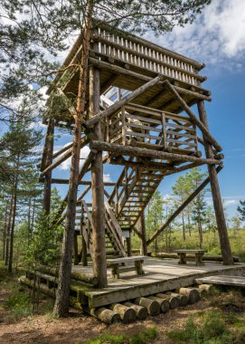 Bataklığın kenarında ahşap bir doğa gözlem kulesi olan manzara, geleneksel bataklık bitki örtüsü arka planı, Nigula bataklığı, Estonya