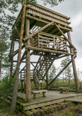 Bataklığın ortasında ahşap bir inşaat kulesi olan manzara. Bataklıktaki güzel doğa manzarası - havuz, kozalaklı, yosun, bulutlu