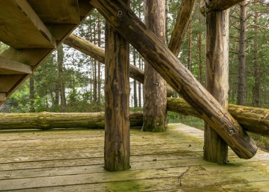Bataklığın ortasında ahşap bir inşaat kulesi olan manzara. Bataklıktaki güzel doğa manzarası - havuz, kozalaklı, yosun, bulutlu