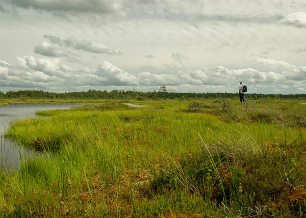 Bataklıkta insan silueti, güneşli bir yaz günü bataklık benzeri bitki örtüsü, ağaçlar, yosunlar ve havuzlar, bulutlu gökyüzü, Nigula bataklığı, Estonya