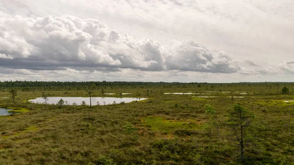 Landscape Stunning Bog Views Beautiful Clouds View Beautiful Nature Swamp — Stock Photo, Image