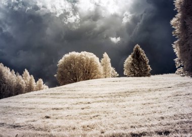 Kızılötesi filtreyle çekilen soyut manzara, kışın ağaçlar gibi görünen ağaçlar, güzel kümülüs bulutları, gerçeküstü manzara