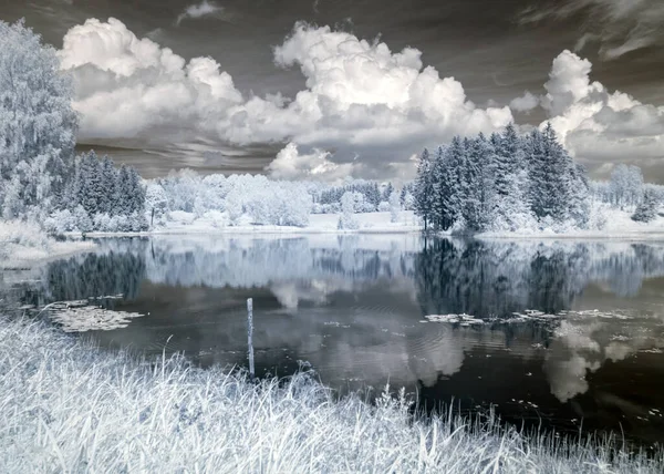 Paysage Abstrait Photographié Avec Filtre Infrarouge Arbres Ressemblent Hiver Beaux — Photo