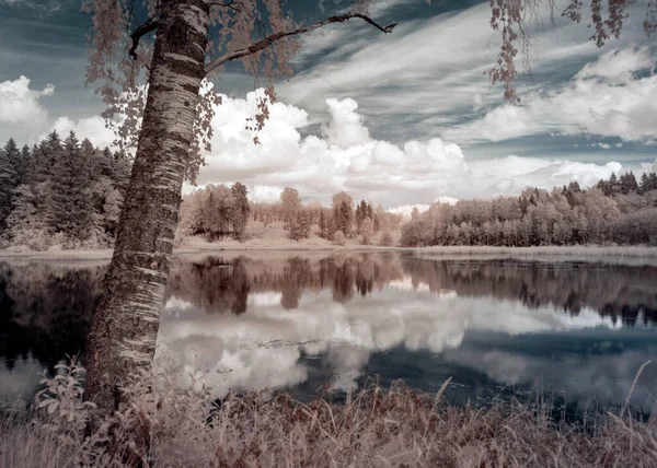 Абстрактный Пейзаж Сфотографированный Инфракрасным Фильтром Деревья Выглядят Зимой Красивые Облачные — стоковое фото