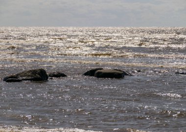Güneşli yaz manzarası, deniz kenarındaki kayalar, baltık deniz kıyıları