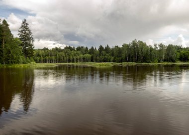Göl kenarındaki güneşli yaz manzarası, ağaçlar ve kümülüs bulutları göl suyuna yansıyor, kıyı sazlıklarla kaplanıyor, yaz doğası.