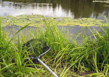 Göl kenarındaki güneşli yaz manzarası, ağaçlar ve kümülüs bulutları göl suyuna yansıyor. Sazlıklarla kaplanmış kıyılar, göl çimenleri ve ön planda balıkçı oltası.