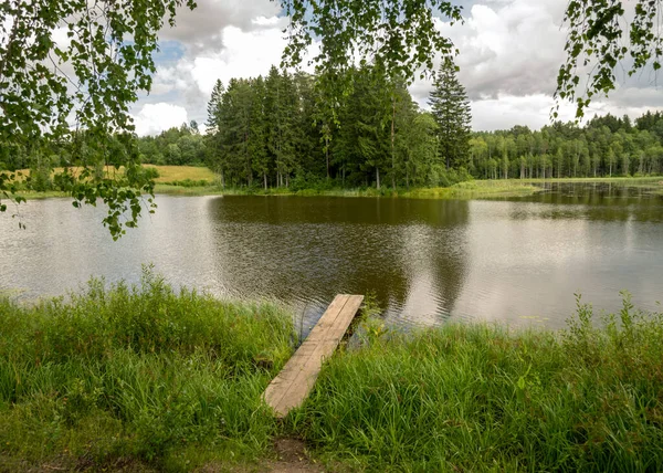 sunny summer landscape by the lake, trees and cumulus clouds reflect in the lake water, shore overgrown with reeds, fisherman\'s wooden footbridge between green grass and reeds
